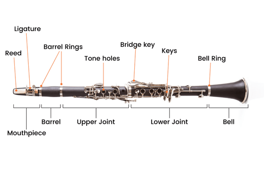 Photo of parts of clarinet
