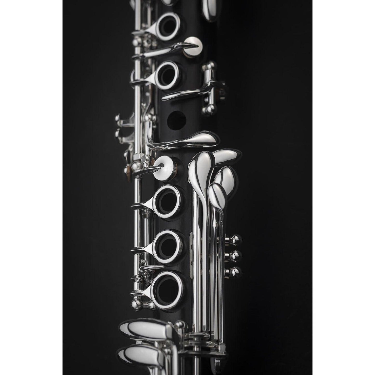 Selmer Muse Eb Clarinet closeup of keywork