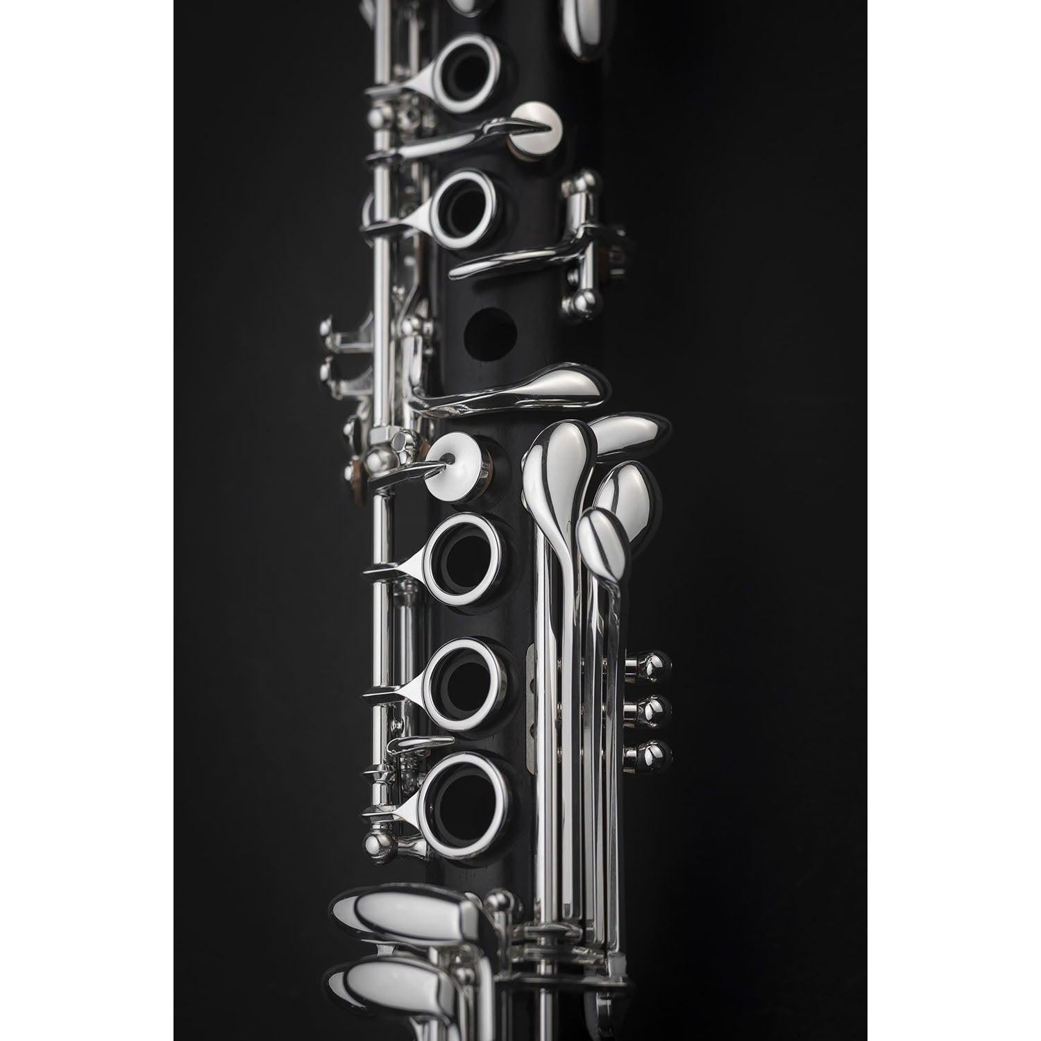 Selmer Muse Eb Clarinet closeup of keywork