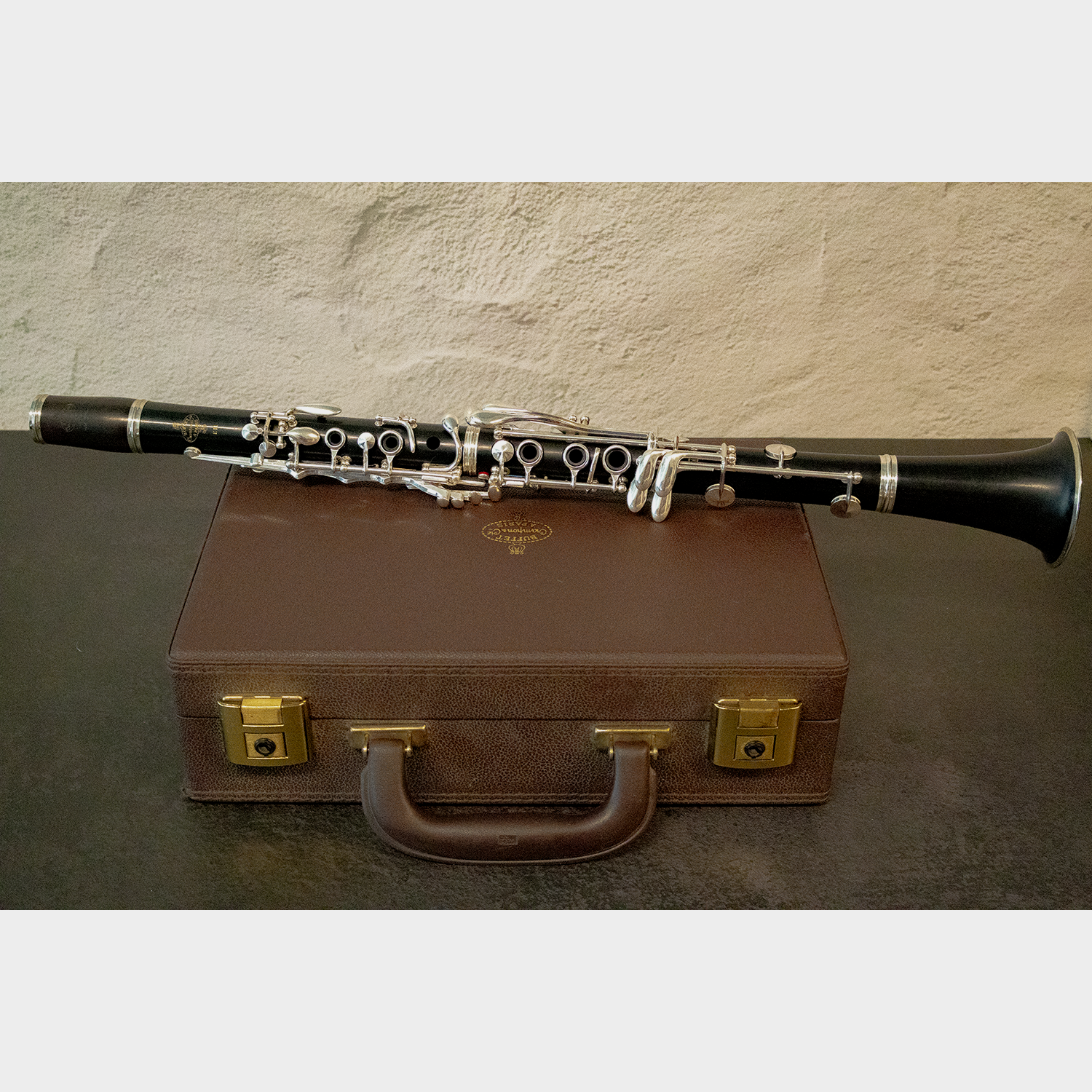 Buffet Crampon E11 Bb Clarinet - full view - assembled instrument laying across closed case