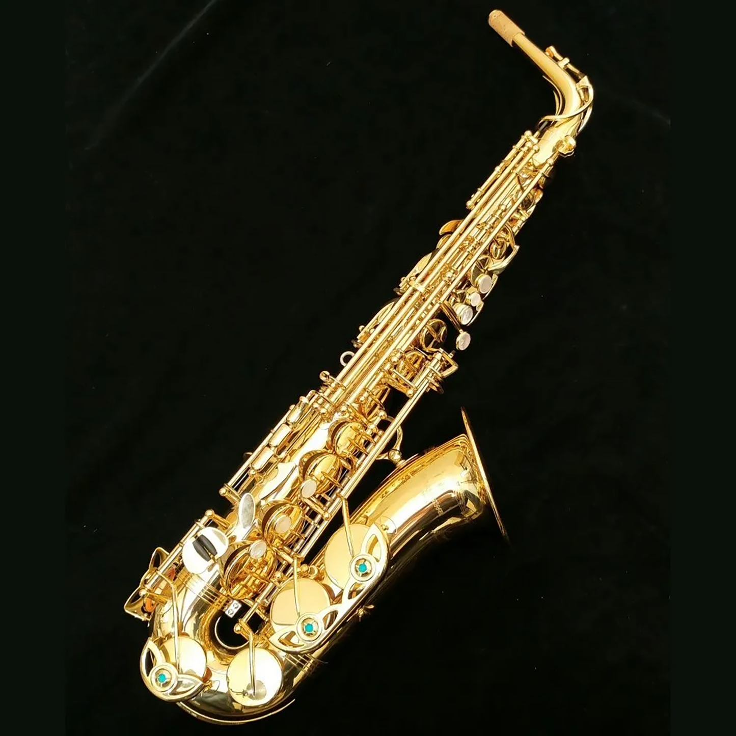 Yanagisawa AWO1 Alto Sax Full View